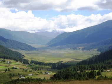 Cranes_in_Bhutan02.jpg