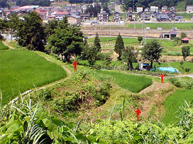 Echigo-Tsumari Art Triennale 1