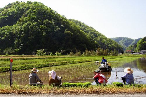 日本協同組合連携機構、発足：日本の協同組合の組合員数は6,500万人