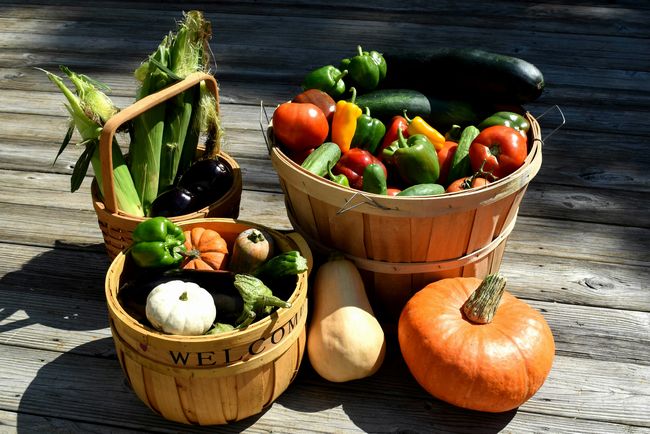 米国:食料品価格の高騰で「食べ物を自分で作りたい」世帯、半数近くに