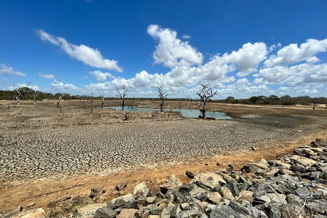 FAO報告書：土地劣化による作物収量が減少した地域に17億人