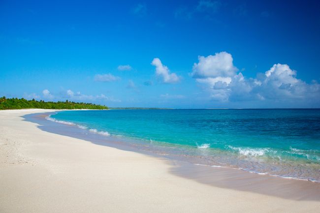 小切手からブロックチェーンまで──全国民を支えるマーシャル諸島のベーシックインカム