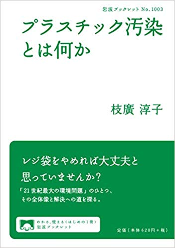 プラスチック汚染とは何か　(岩波ブックレット)