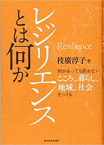 『レジリエンスとは何かー何があっても折れないこころ、暮らし、地域、社会をつくる』